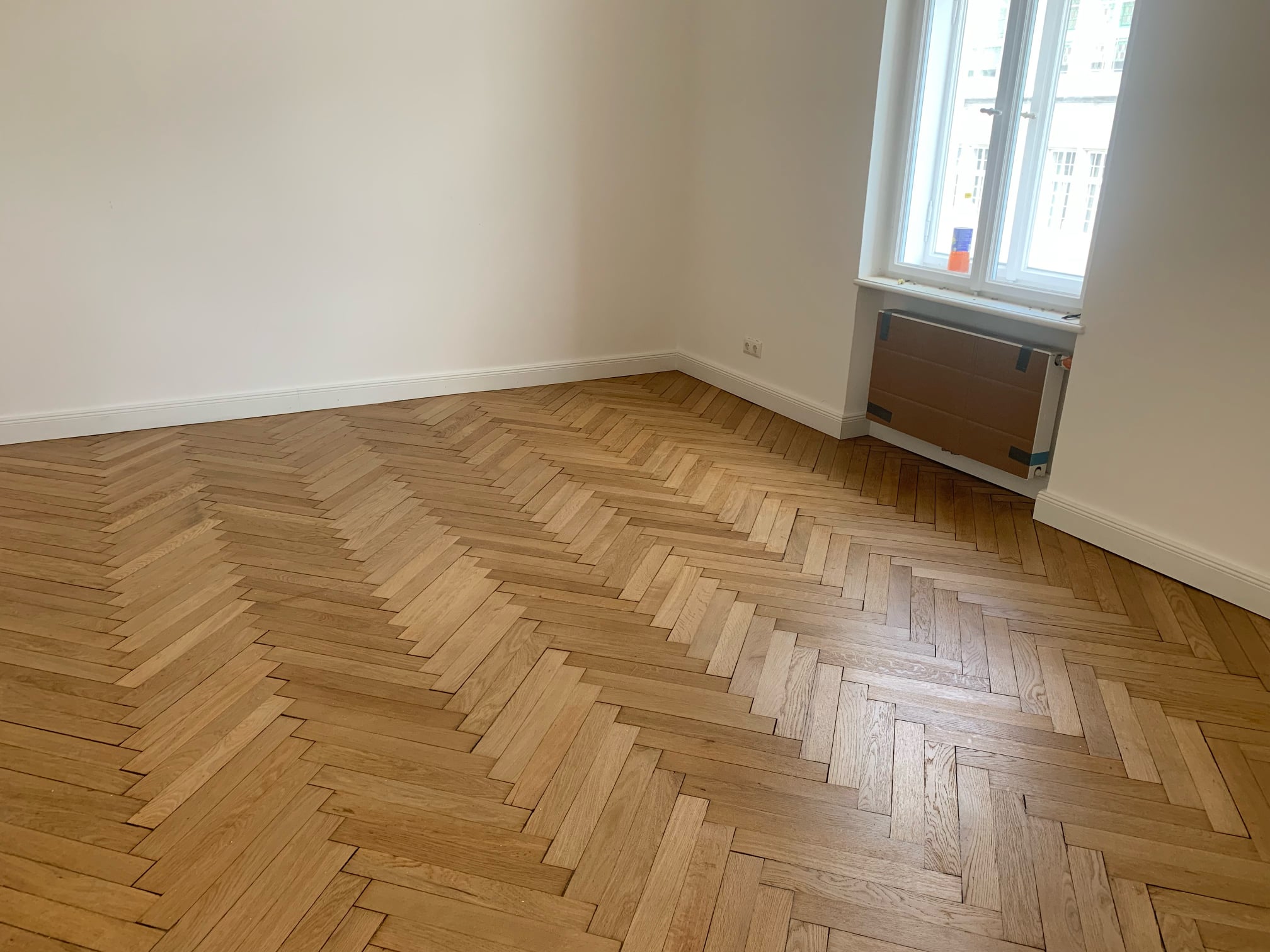 238140063 3005889846295702 973047858008905429 N