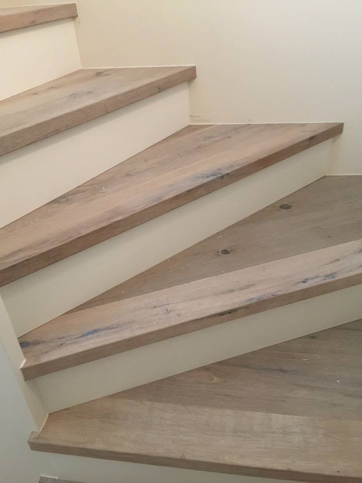 10858385 1568019666749401 1040626340571529909 N